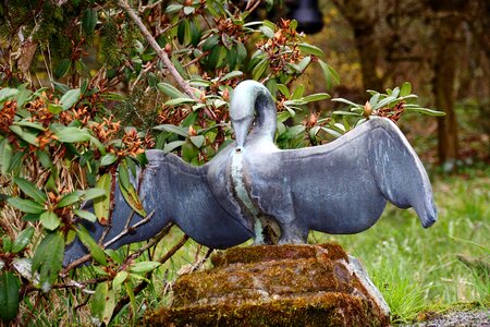 Gargoyle figure bird photo