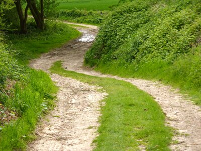 Countryside green road