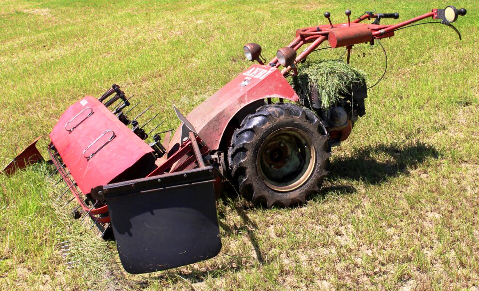 Meadow mowed summer