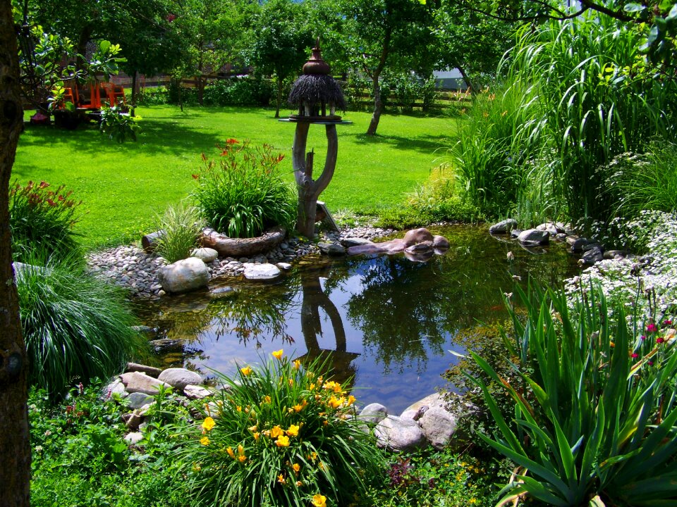 Garden pond small pond garden