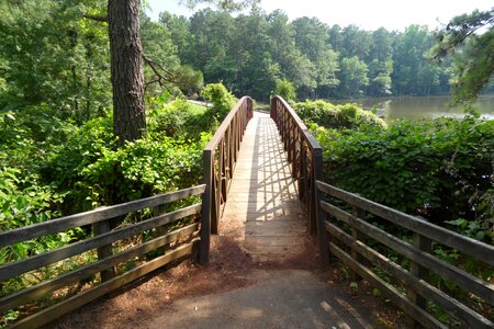 Pathway footbridge photo