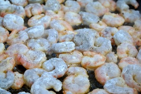 Pan seafood north sea
