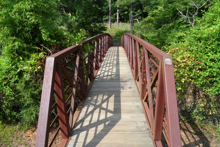 Pathway footbridge