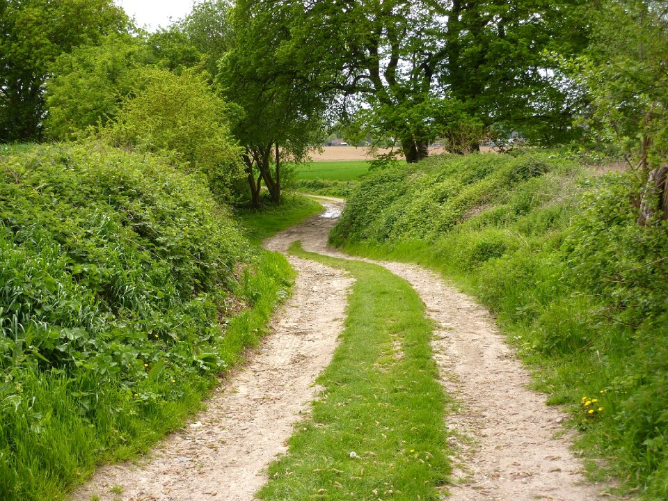 Countryside green road