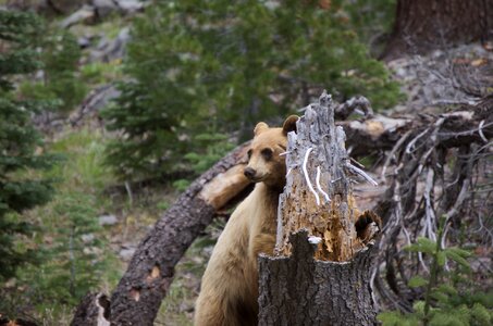 National park wilderness nature photo