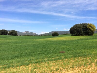 Wild field agriculture sky photo