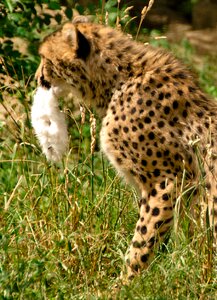 Nature vacations national park