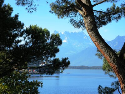 Water sunny switzerland photo