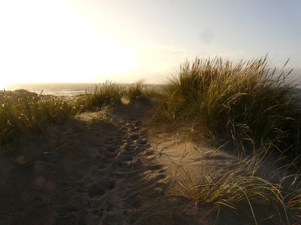 North sea sea beach