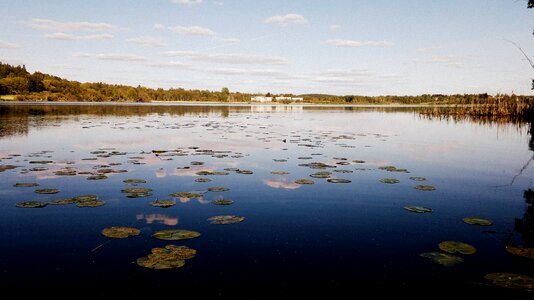 Finnish summer nature photo photo