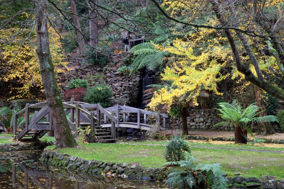 Pond autumn nature