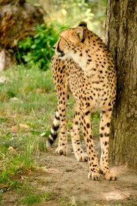 Nature vacations national park