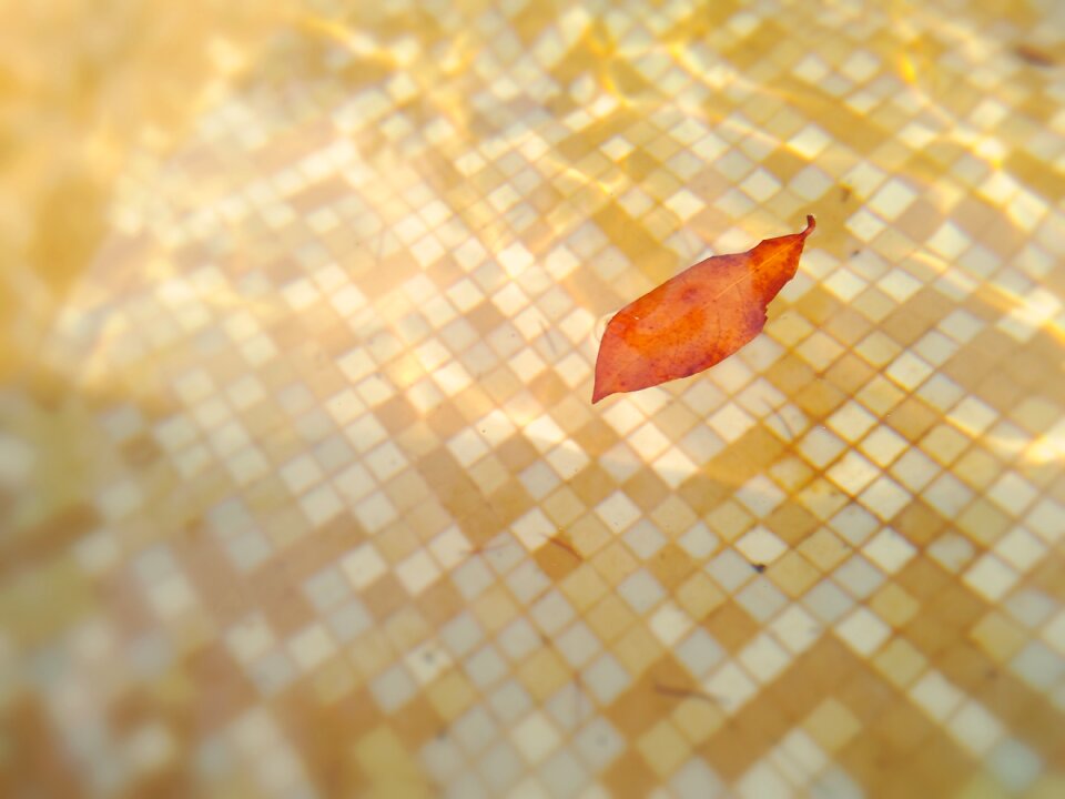 Light shiny orange