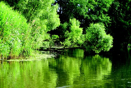 Nature mirroring landscape photo