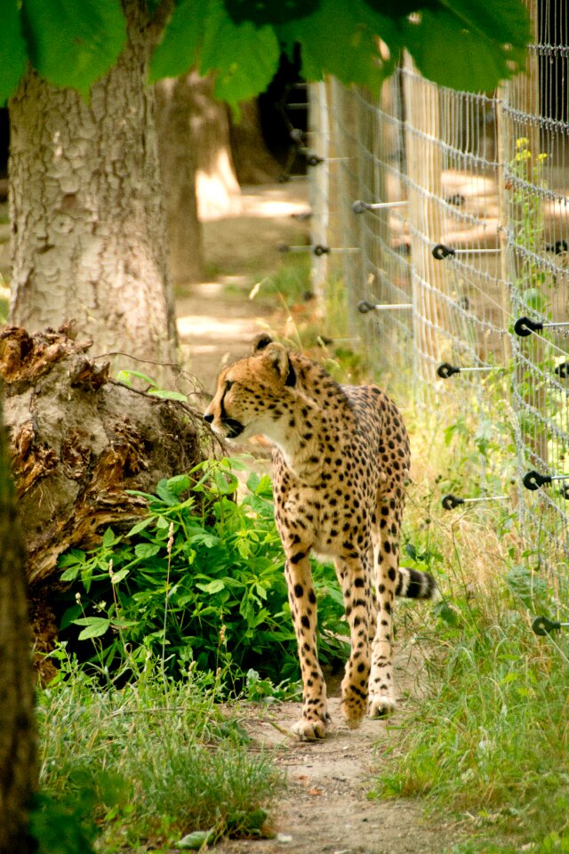Nature vacations national park