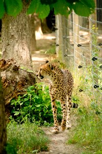 Nature vacations national park