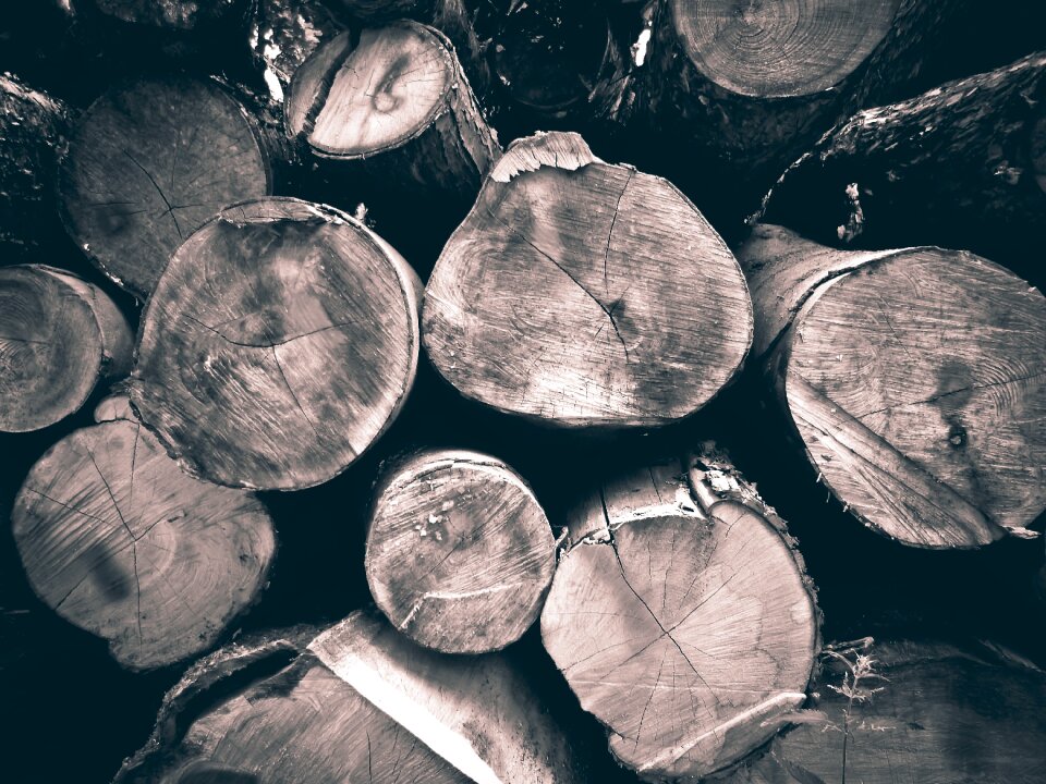 Like growing stock log