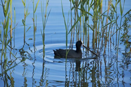 Water nature landscape