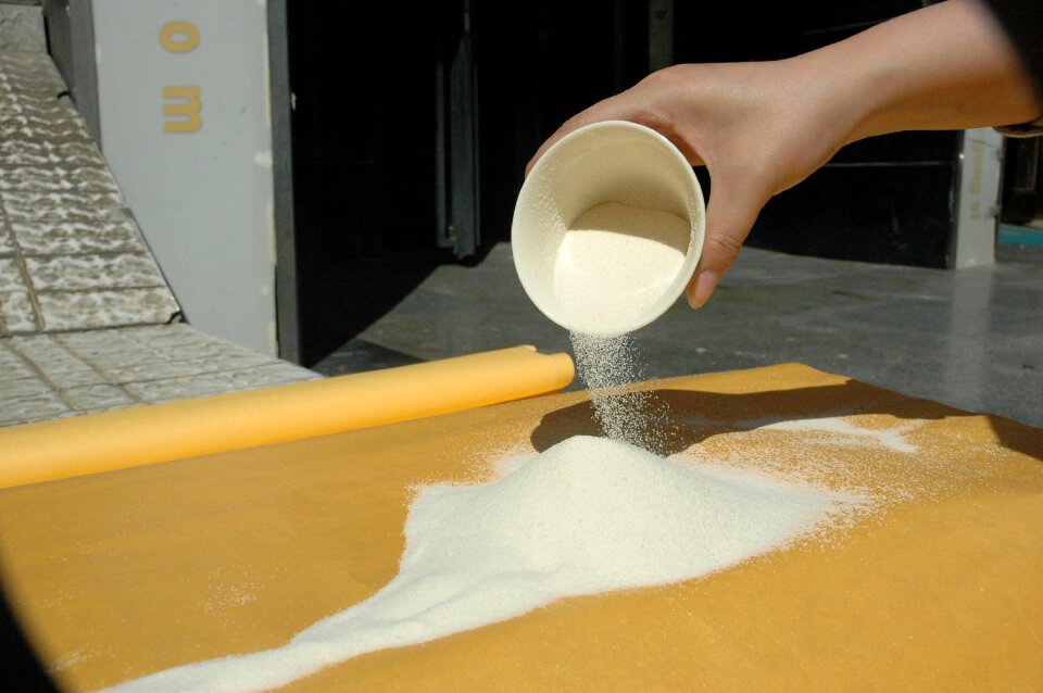 Wheat bran durum wheat grain