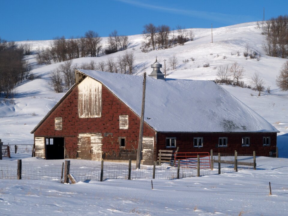 Rural landscape