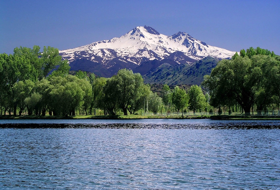 Tree lake landscape