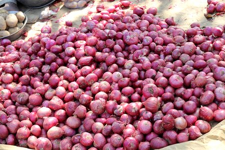 Indian red food photo