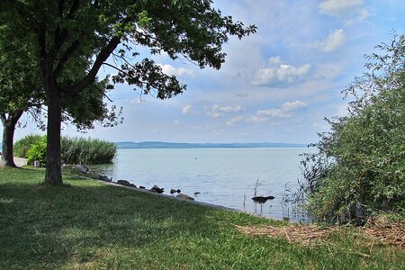 Water balaton hungary photo