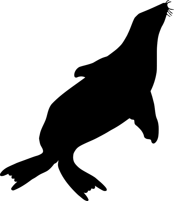 Seal