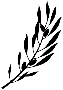 Olive Branch