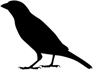 Горобчик