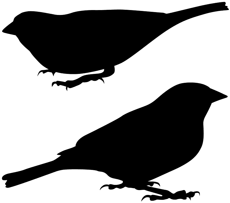 Sparrows - Free vector silhouettes on creazilla.com