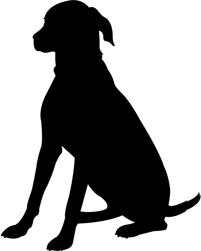坐着的狗