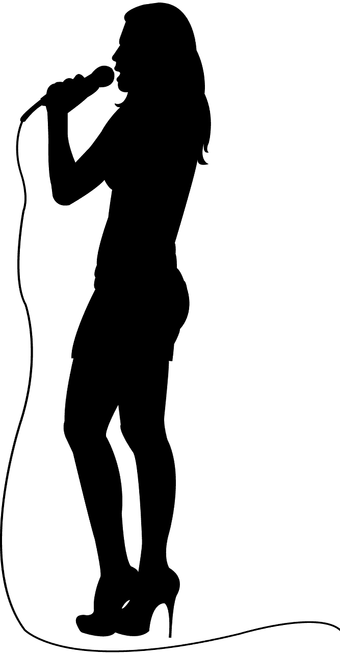 가수