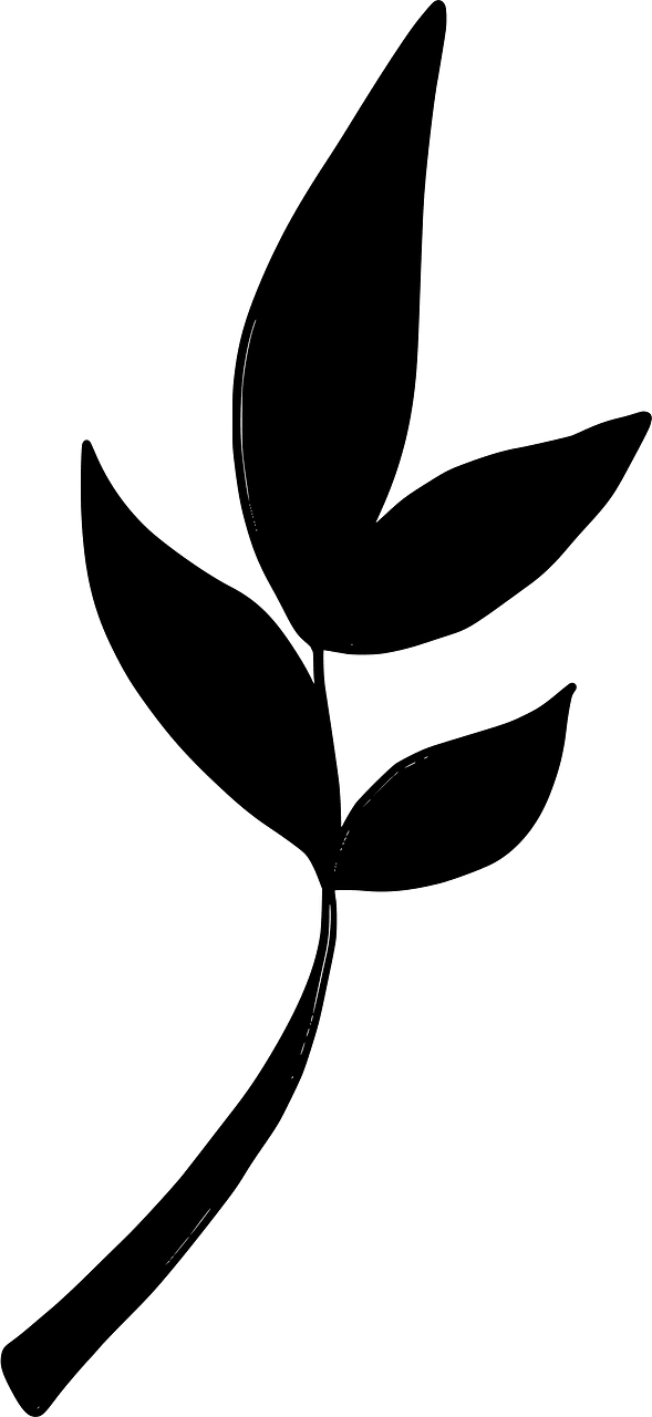 Tea leaves