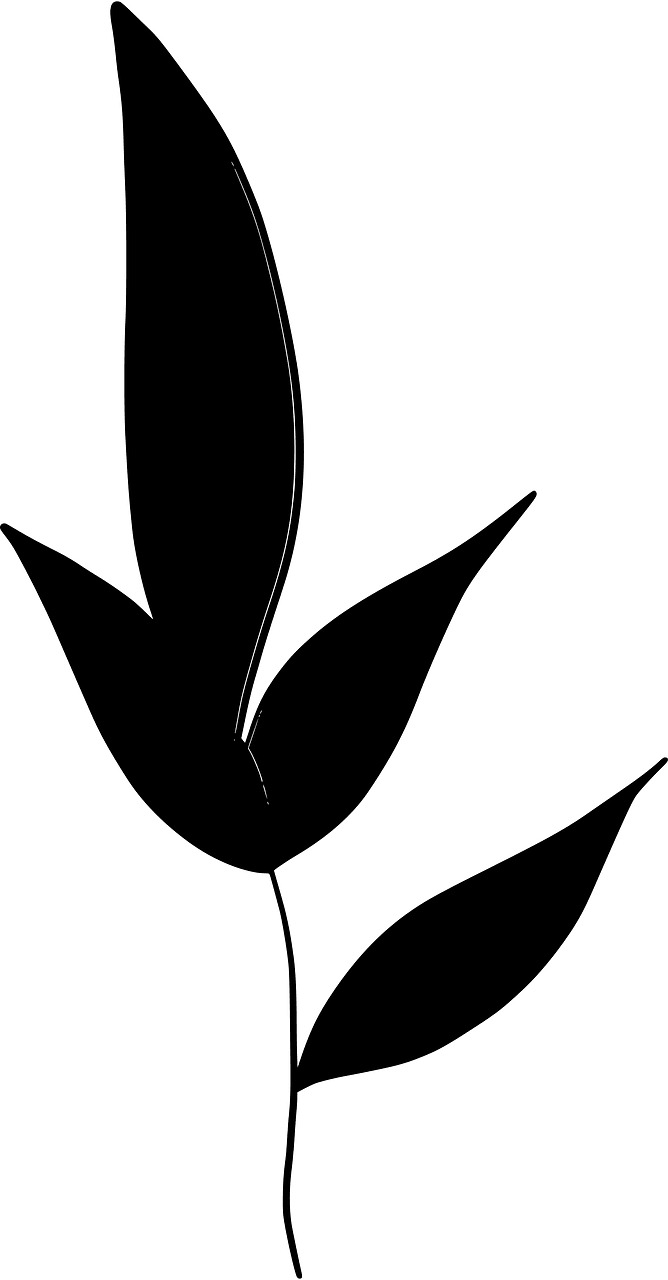 Tea leaves