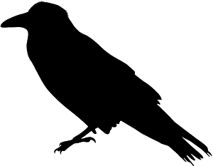 Corbeau