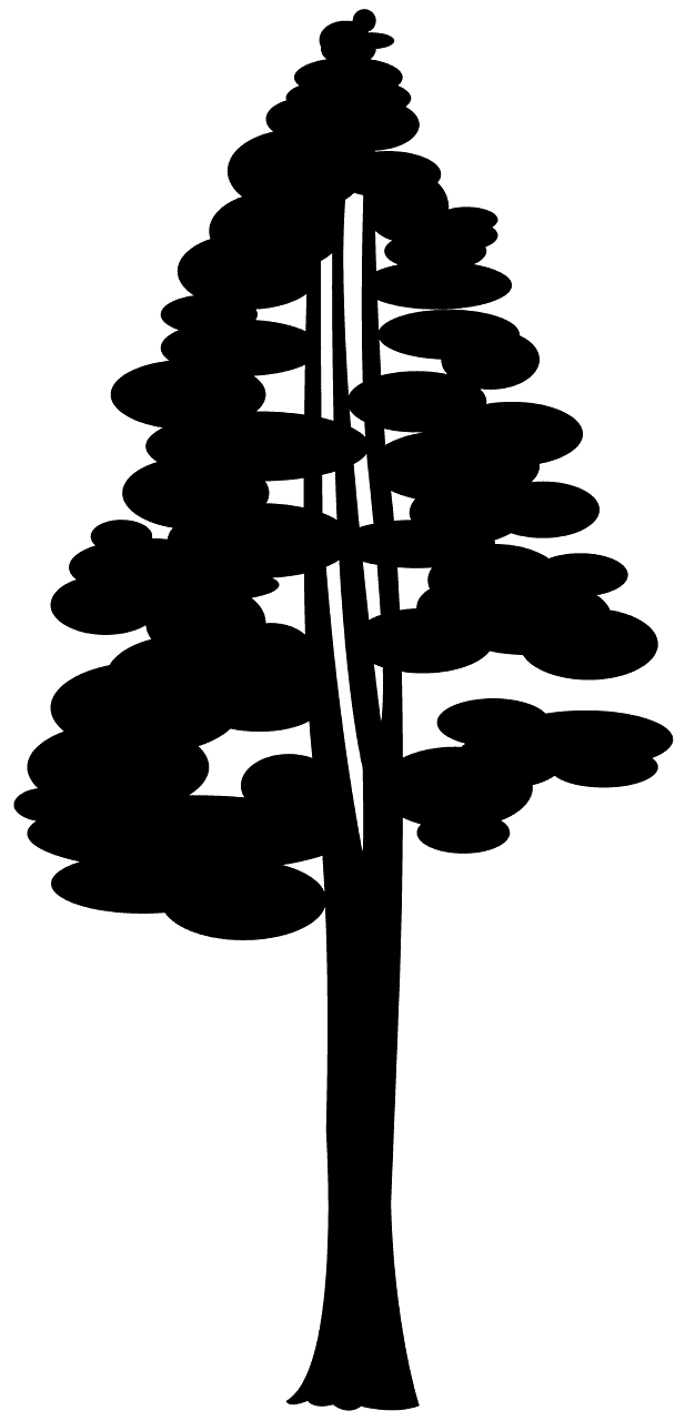 Secuoya