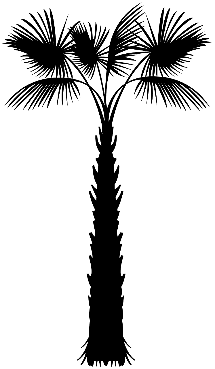 Palmetto