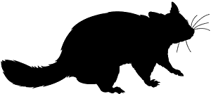 负鼠