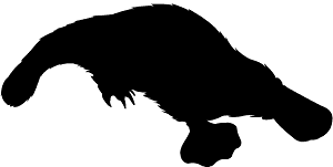 Platypus