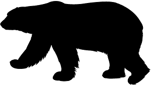 北极熊