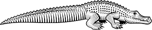 Crocodile outline