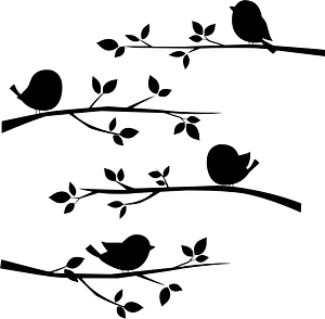 Birds are Perched on Branches