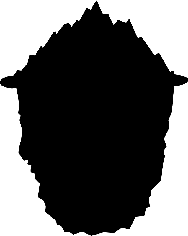 Iceberg