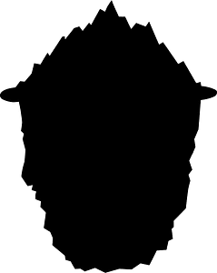 Iceberg