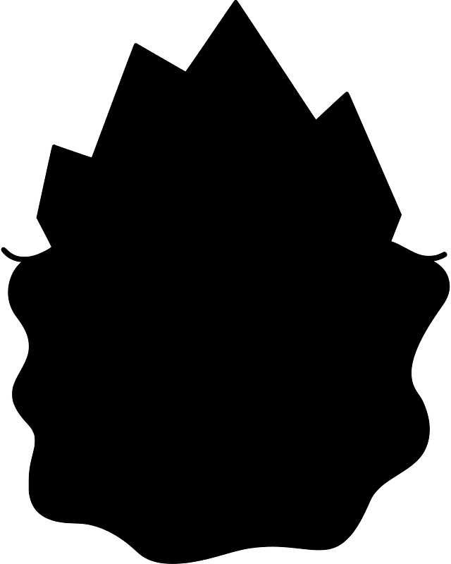 Iceberg