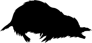 Gray mole