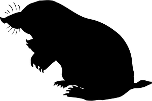 Mole