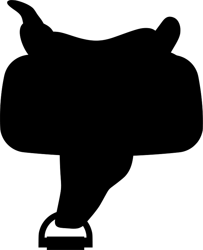 Saddle