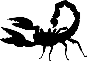 Scorpion